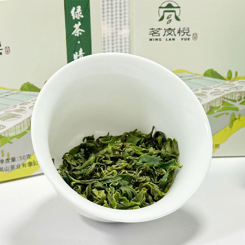 日照绿茶2025春茶新茶买二发三 买五发十 耐冲泡 双十二
