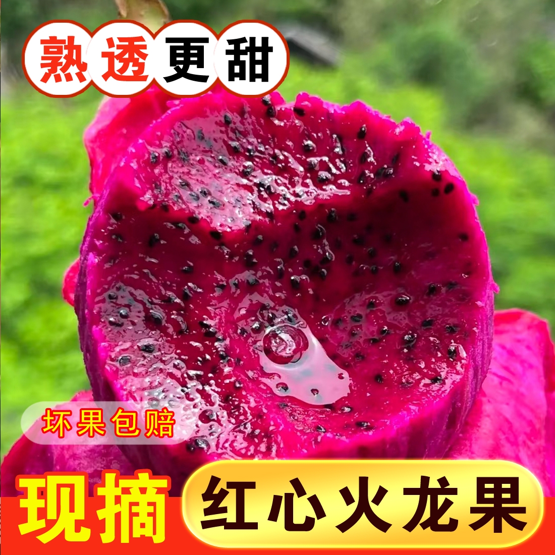 A云南红心火龙果新鲜现摘应季水果皮薄多汁产地直发