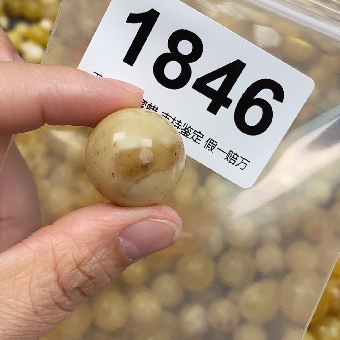 蜜蜡未镶嵌珠宝奇石22