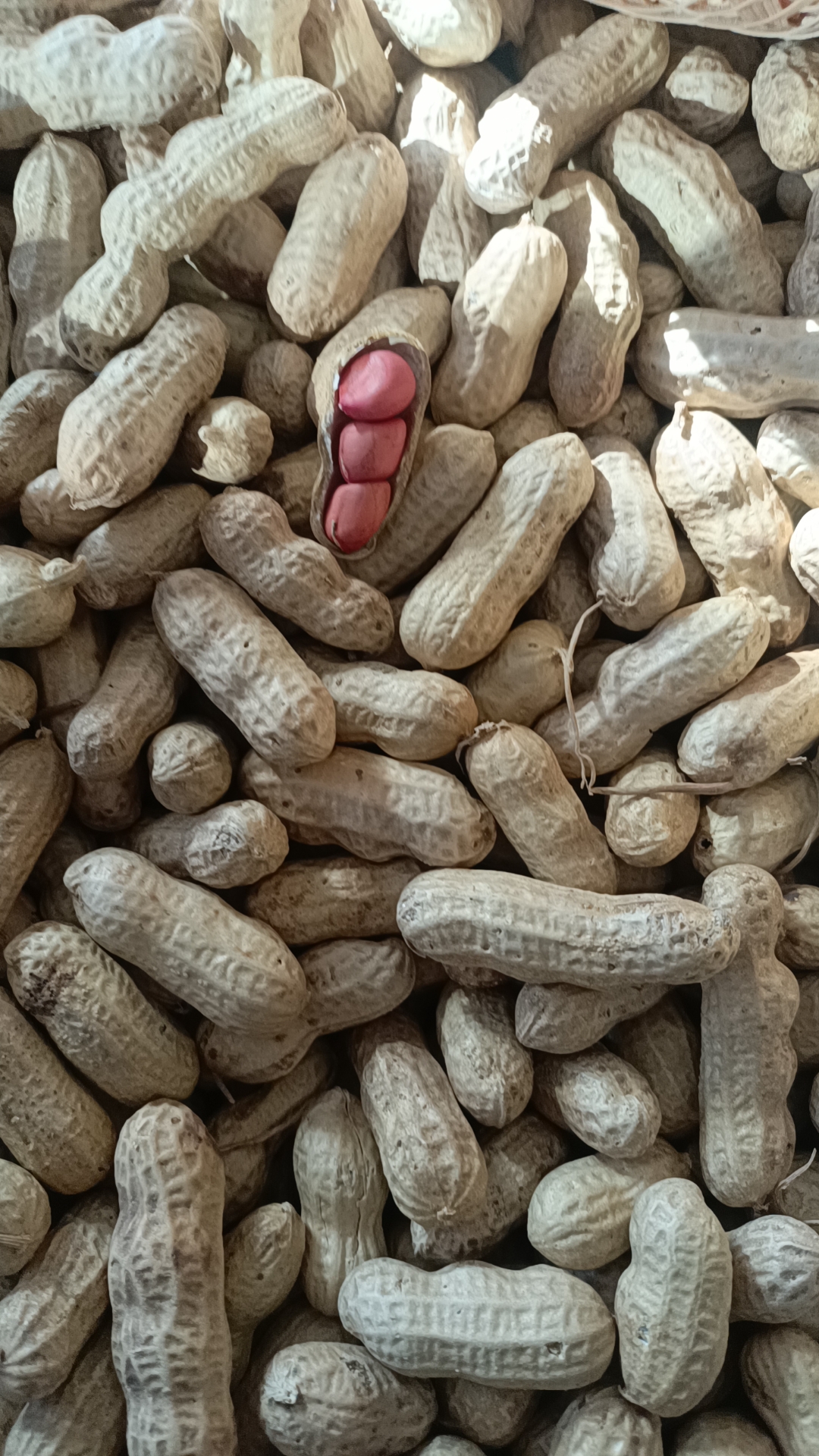 四粒红新鲜（生）花生3斤