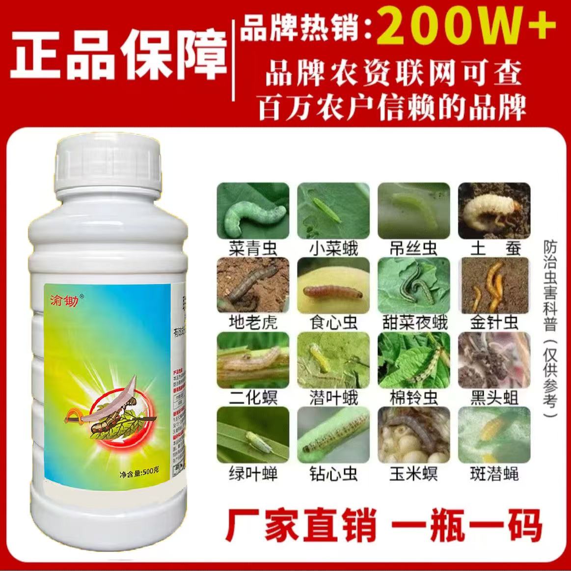 瓜果蔬菜水稻红蜘蛛菜青虫蚜虫小菜蛾食心虫卷叶螟专用杀虫剂