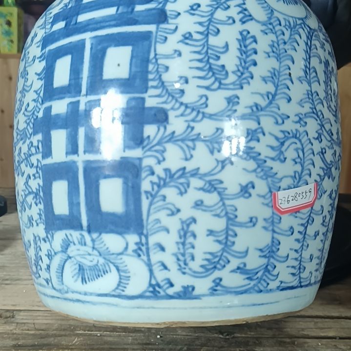 罐静**韵盘枝莲。。。。。。。