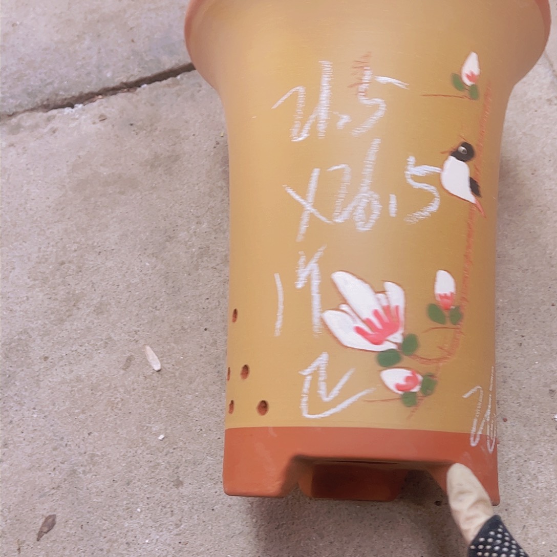 紫砂26…………………………………………