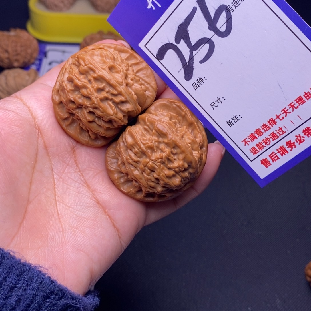 文玩核桃吊坠256号链接白狮子4.3尺