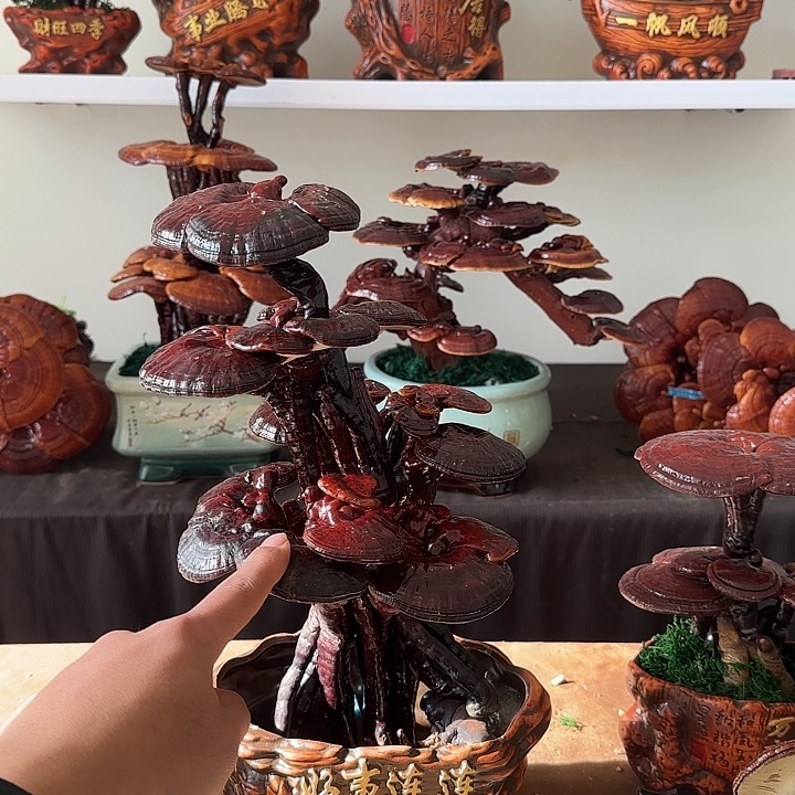 嗯***…无花朵88888888888