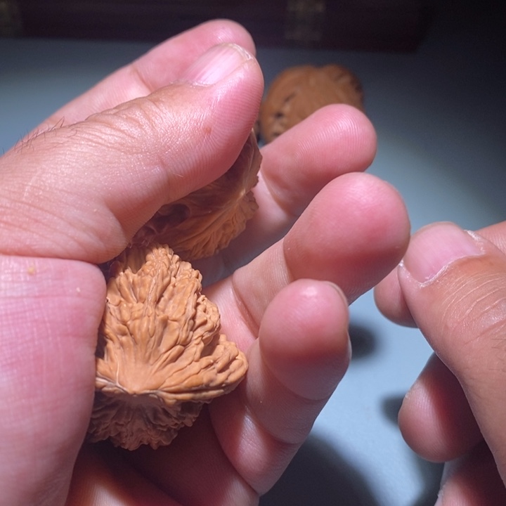 核桃4142虎头了我一次