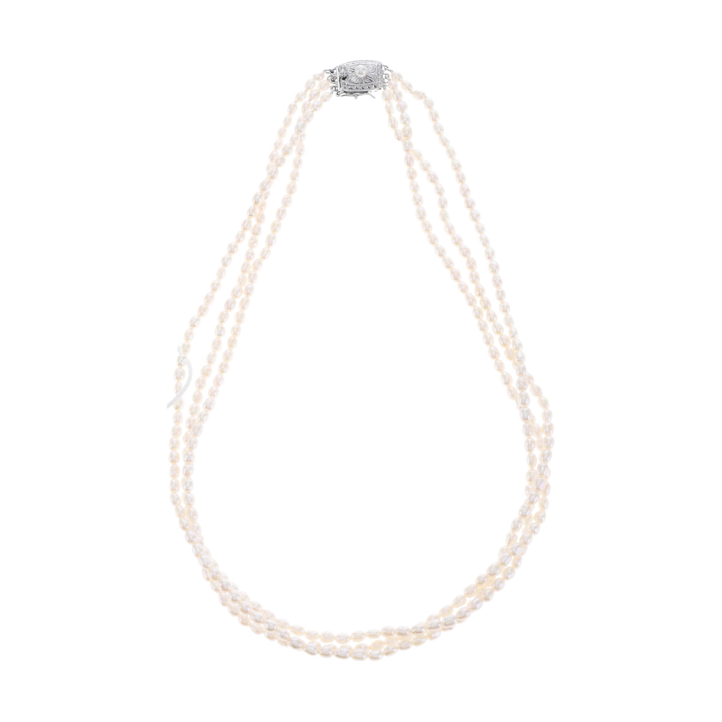 红布林A3/塔思琦/64074277/z/121268