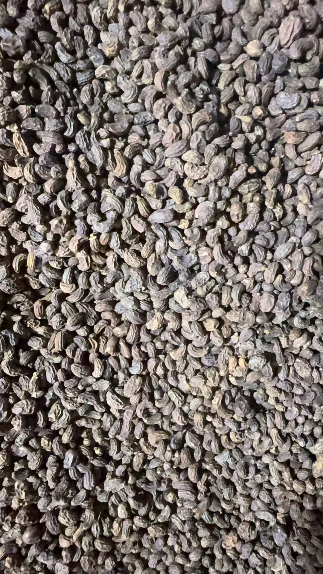 滇缅小静优选 乌亮丁