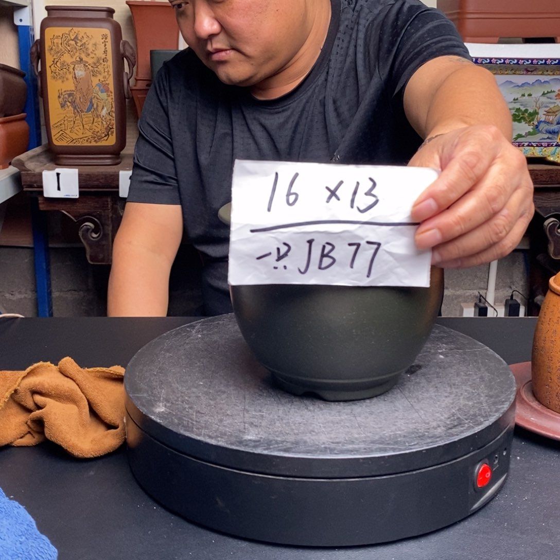 紫砂货号一只JB77