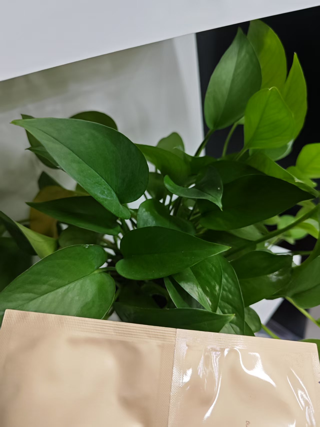【言言分享毛大哥】补水保湿紧颜水润奢华面膜