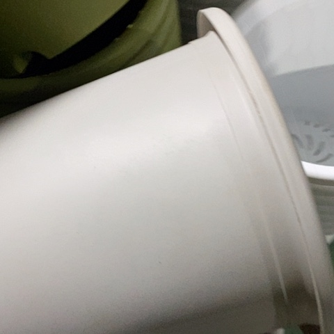 树脂四季6号灰白无托5个