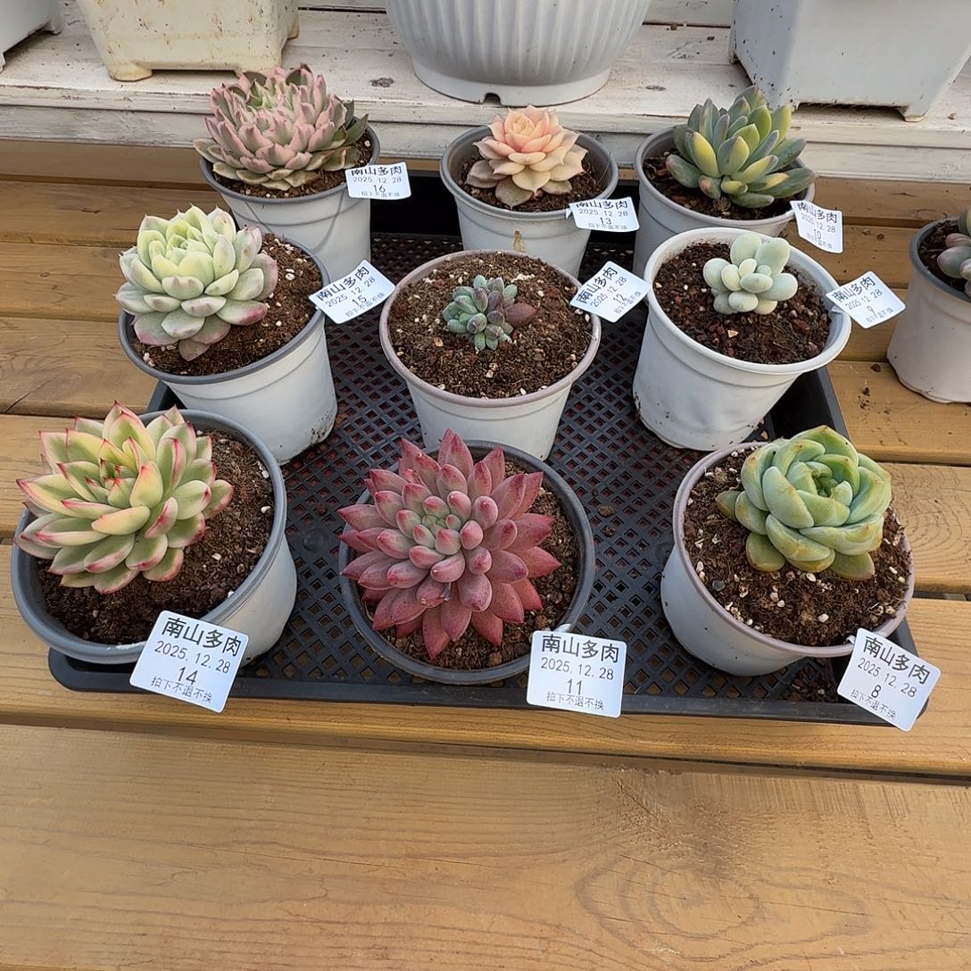 温度零下必拍保温箱