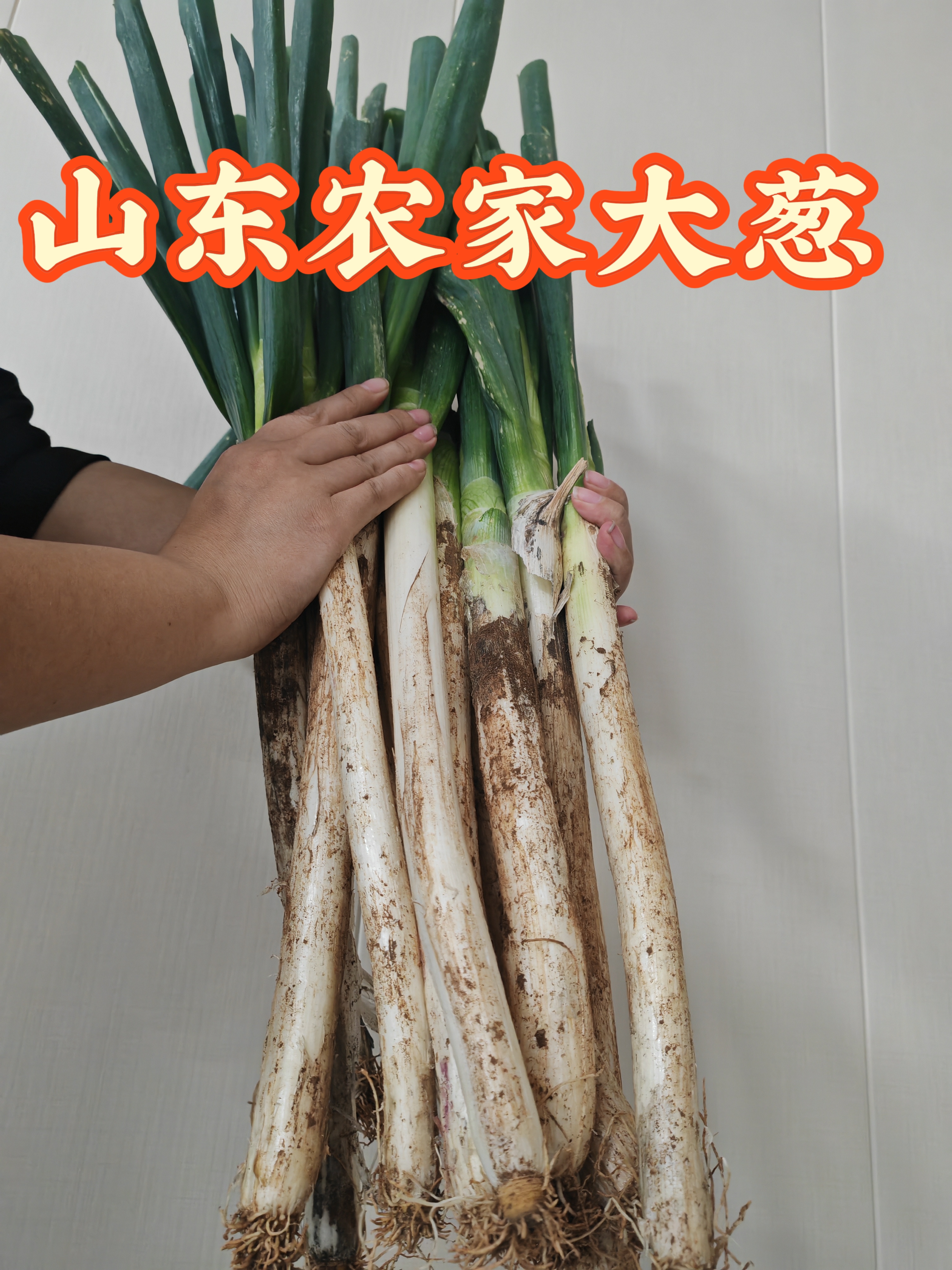 【超实惠】山东农家铁杆大葱【带皮  去半叶】现挖脆爽大葱