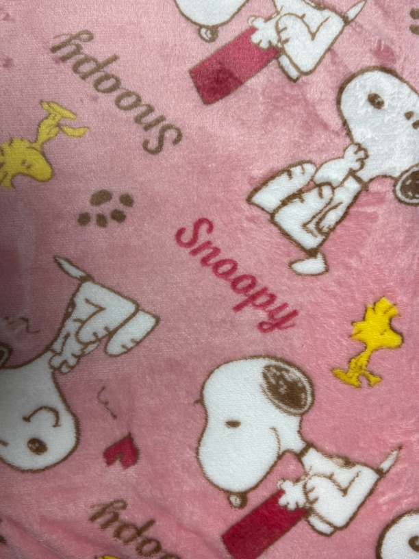 粉色史努比【140*200】双面绒毛毯休闲午休空调沙发保暖床单铺盖