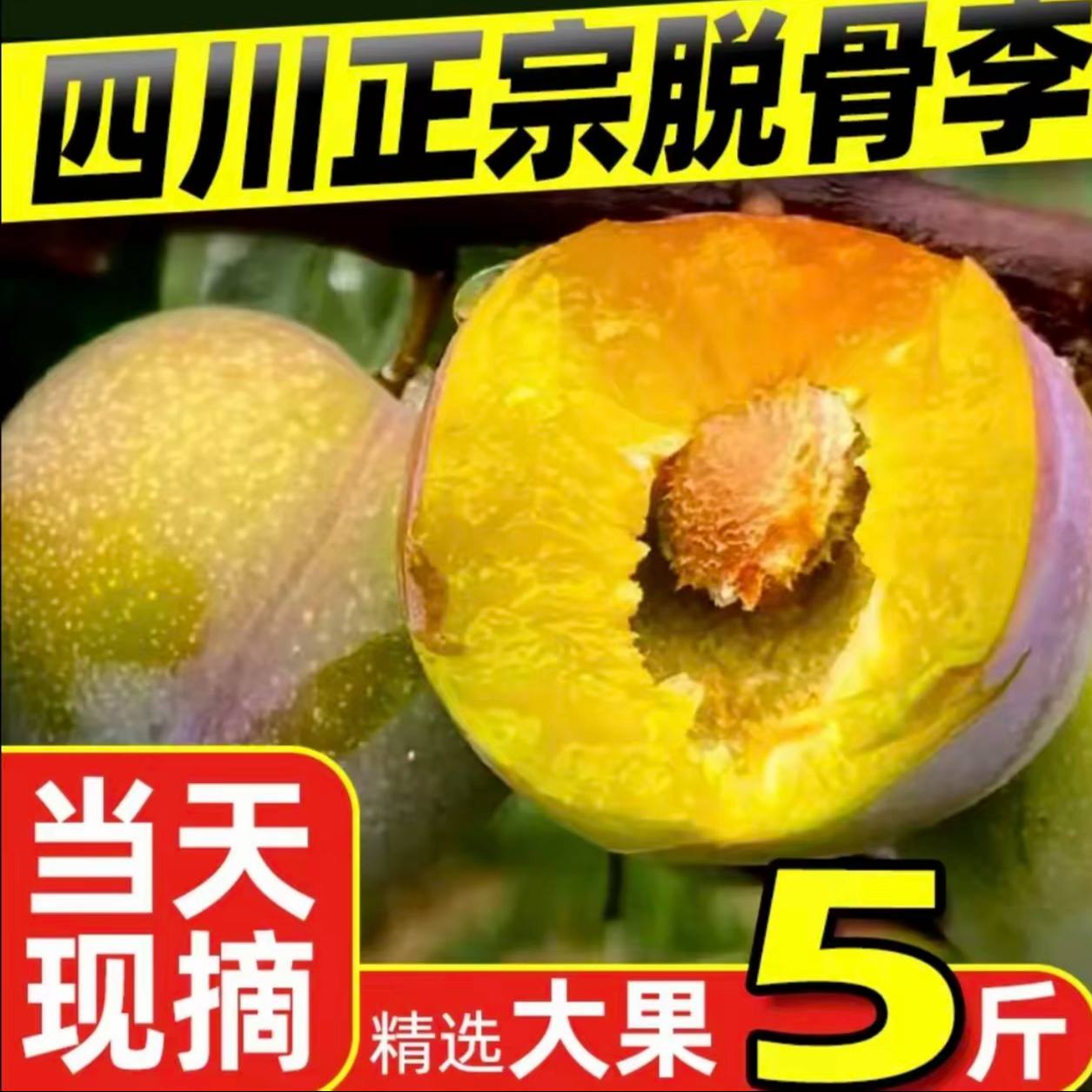 【四川脱骨李】.净重5斤装四川脱骨李半边红茵红李新鲜现摘夏日水果
