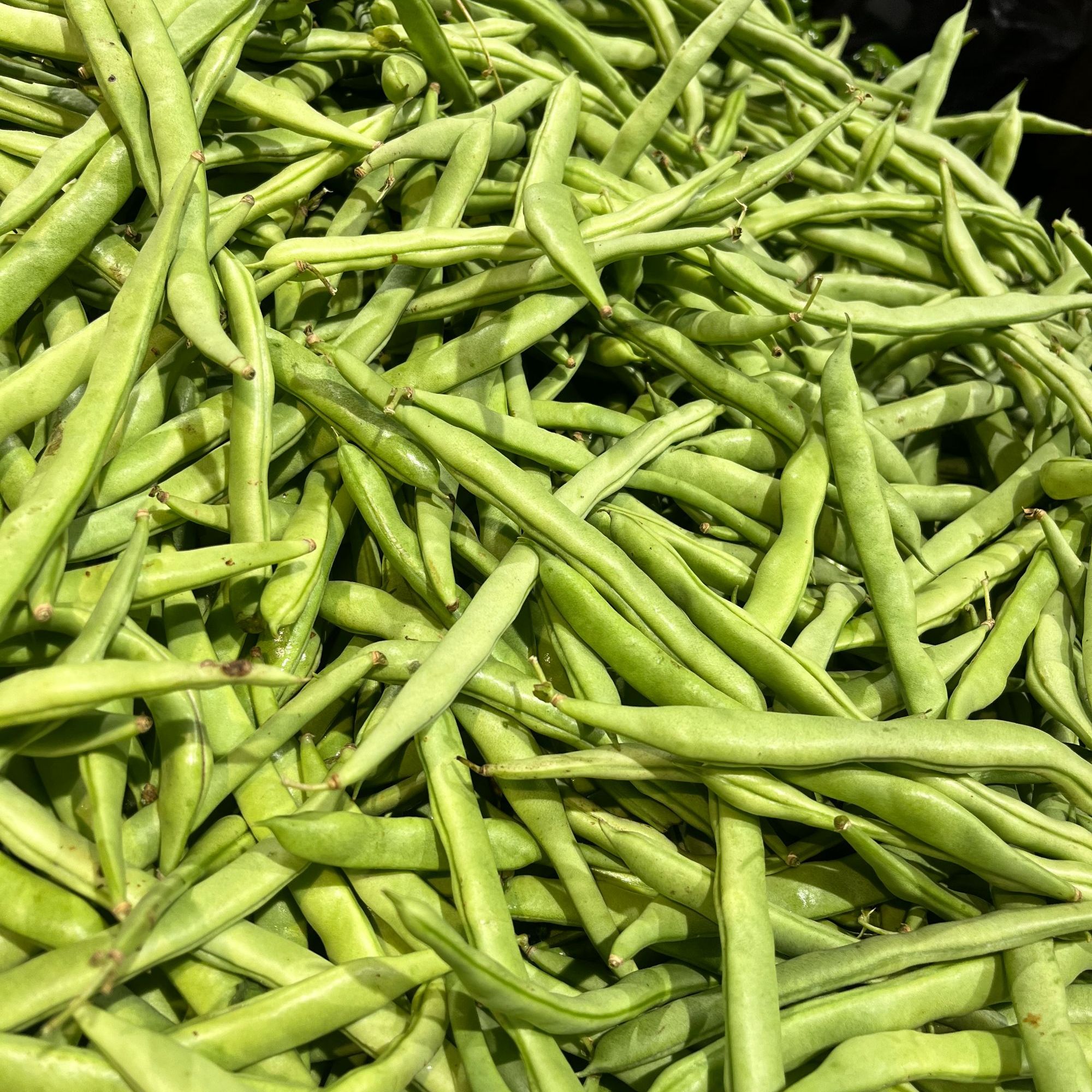 四季豆（约500g）