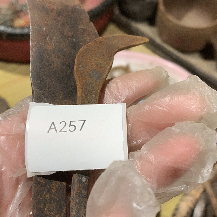 黄***紫其他陶257号工艺品