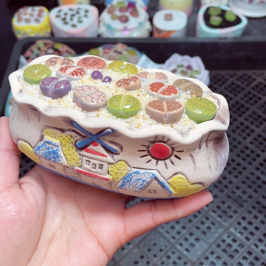 w6073 -零下地区拍保温箱-15支持寄养