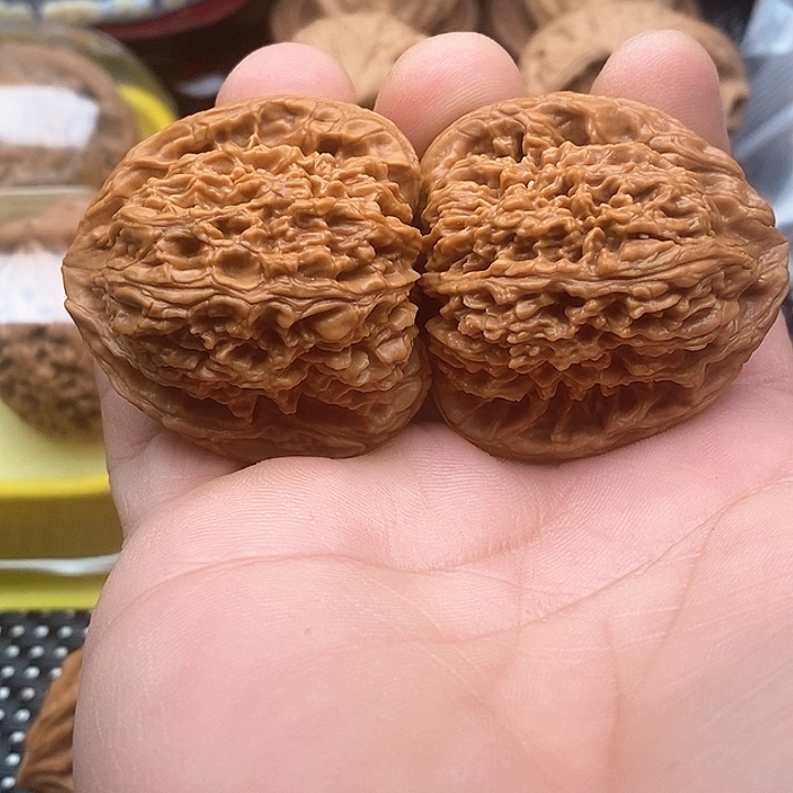 朴*笺三角南疆石412+尺。。。。