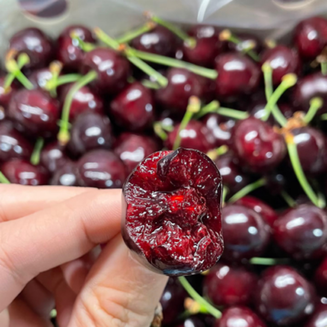 海运桑提娜车厘子2JD原装箱5斤/份桑提娜智利