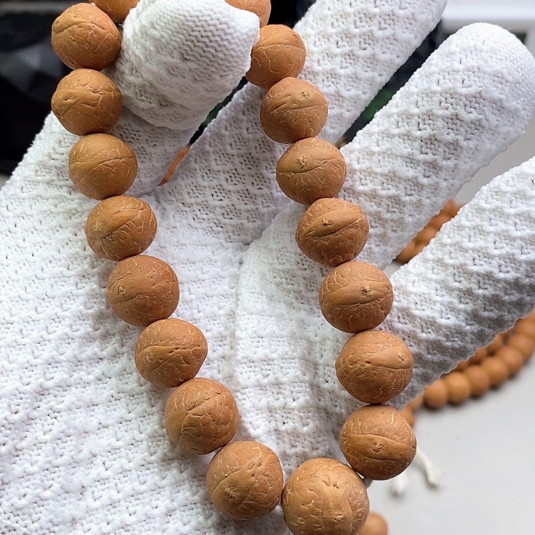 吊坠凤眼菩提14尺寸福利款