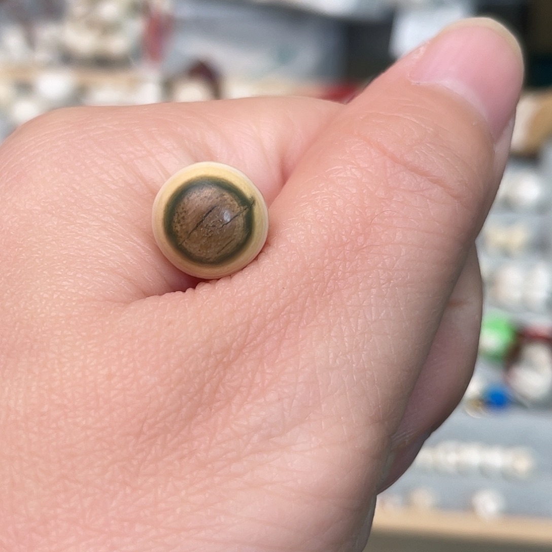 手串/手链/手镯猛犸象牙兰眼珠