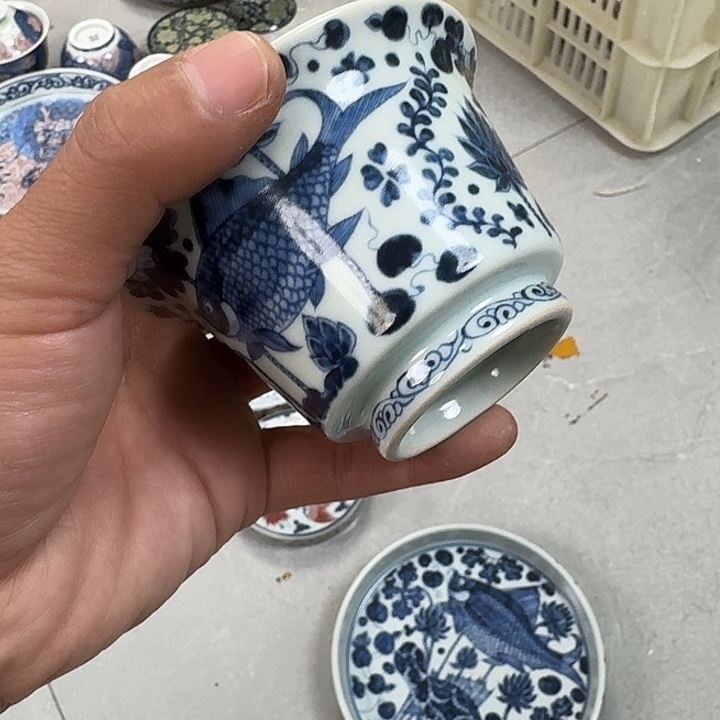 瓷片青花鱼藻纹两才盖碗