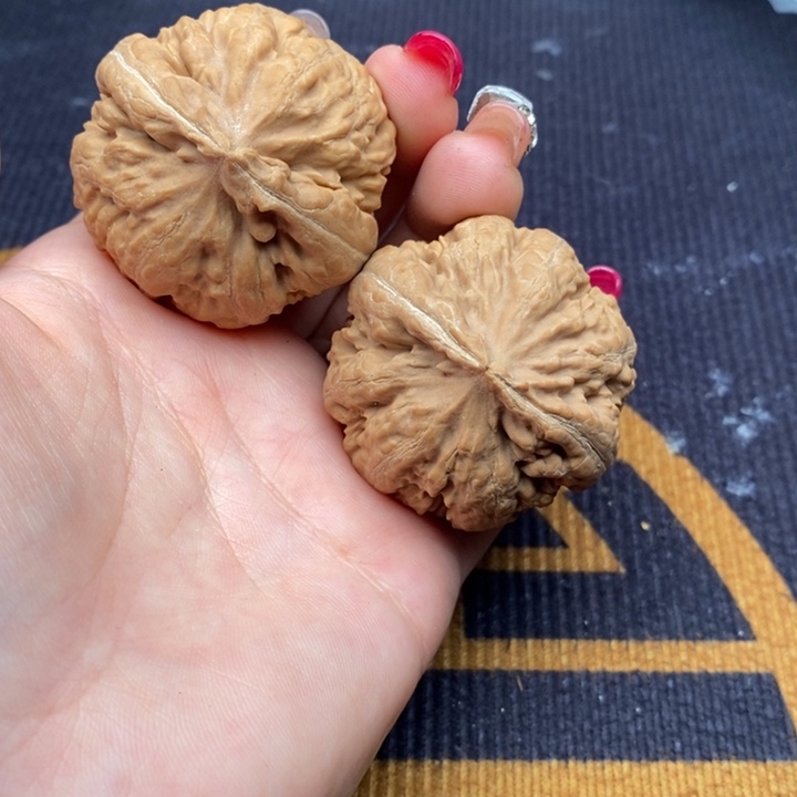 @***…文玩核桃把件霸王龙