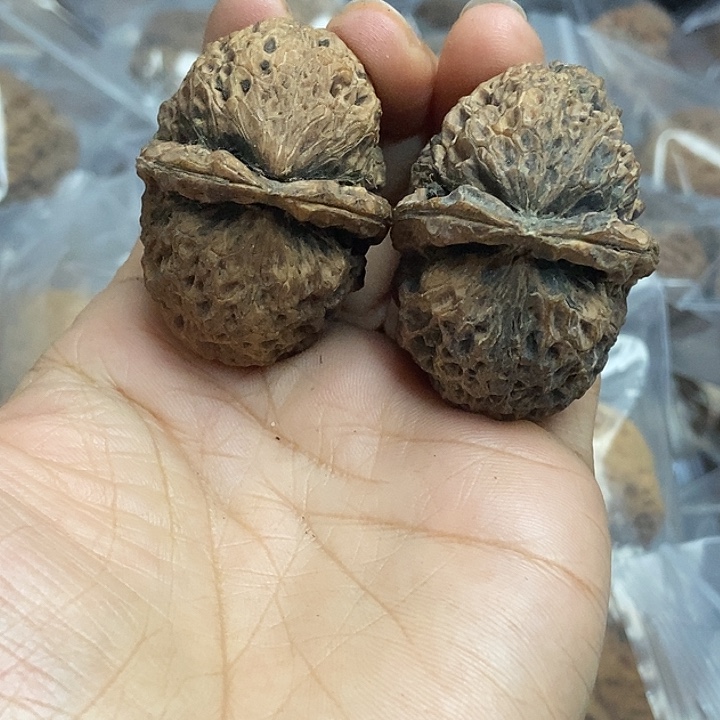 木质类云南铁核桃+30