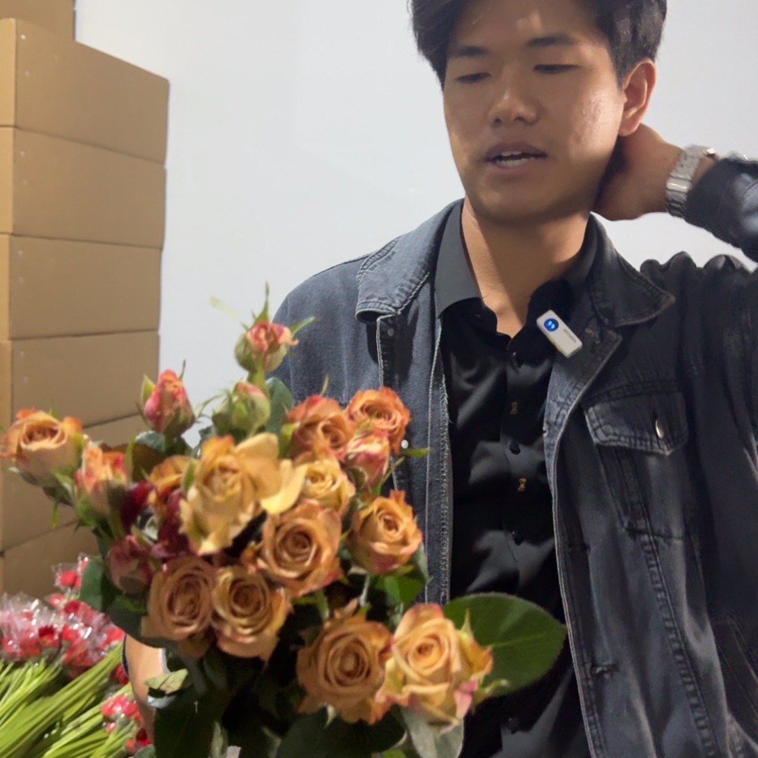 卡布多头2扎包邮价秒杀
