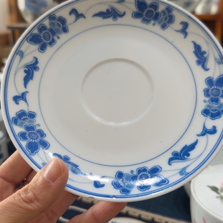 醴陵钻石款兰海棠15厘米嗑样品