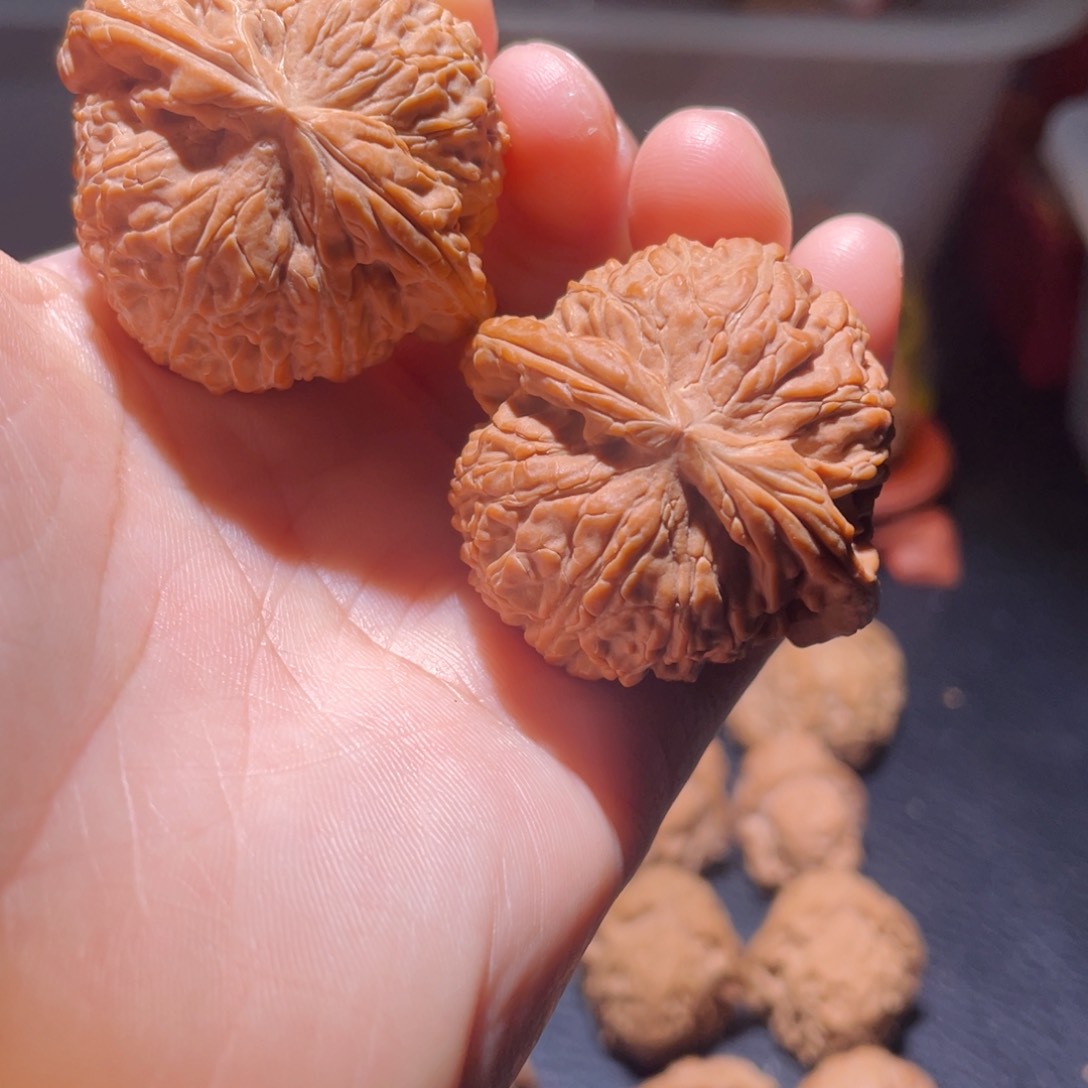 桃核吊坠41尺白狮子