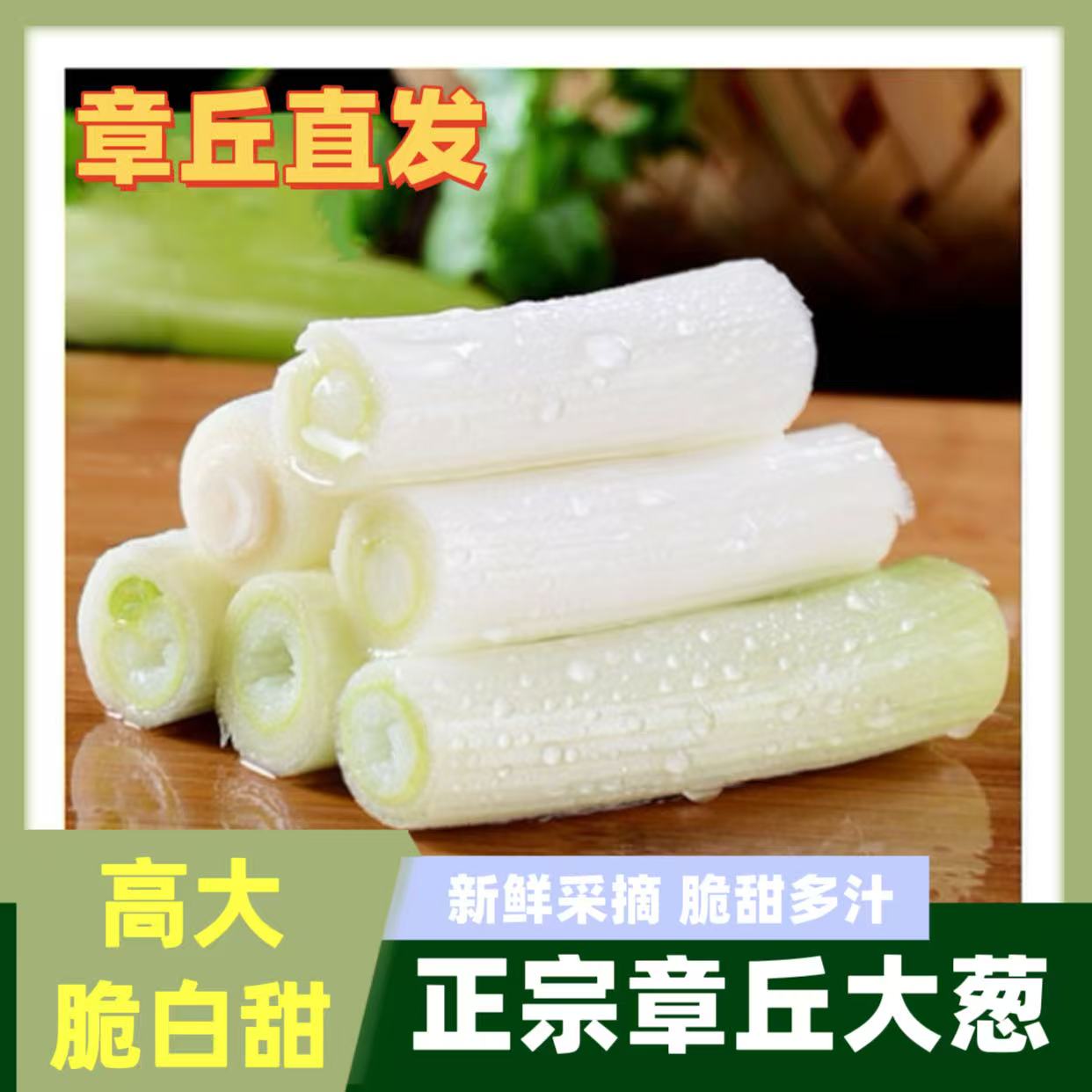 【邮政助农】正宗山东章丘大葱 高大脆白甜