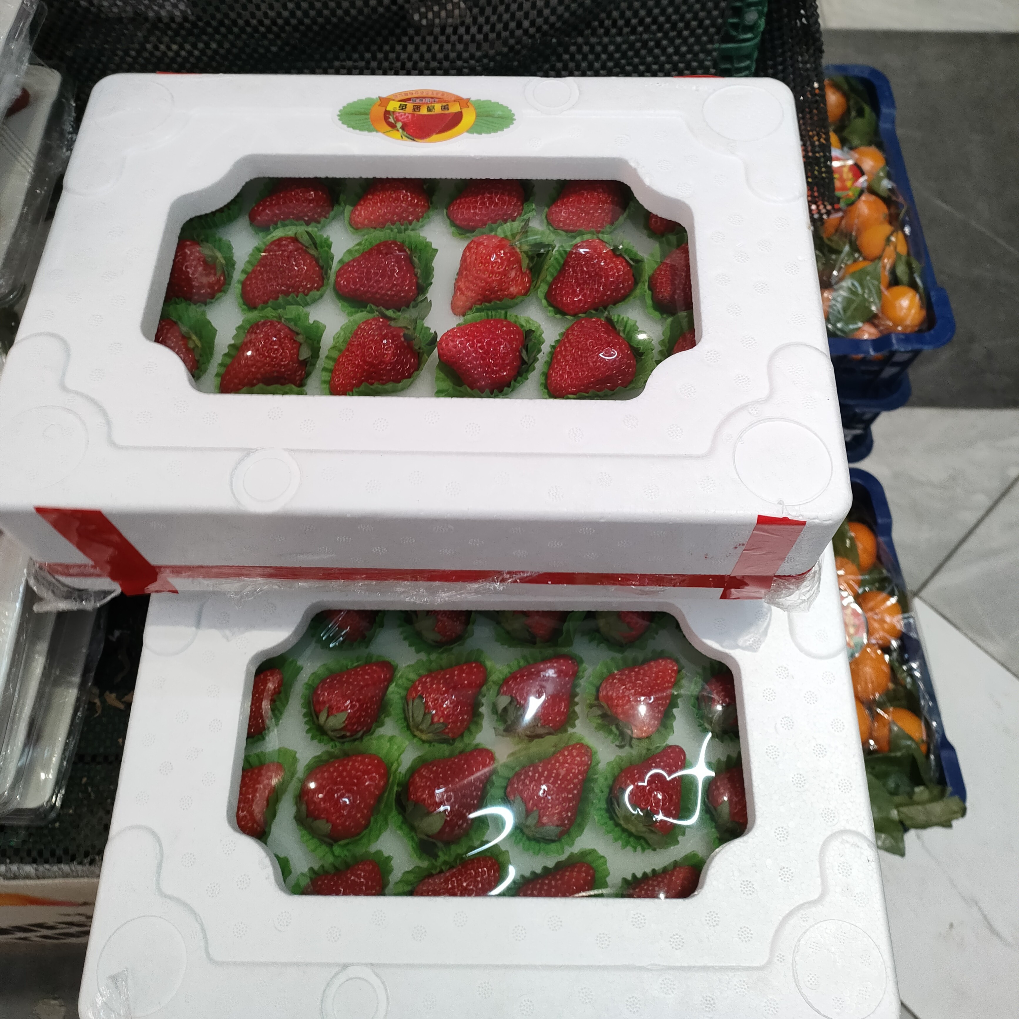 奥源丹东九九草莓大天窗一板600克99红颜