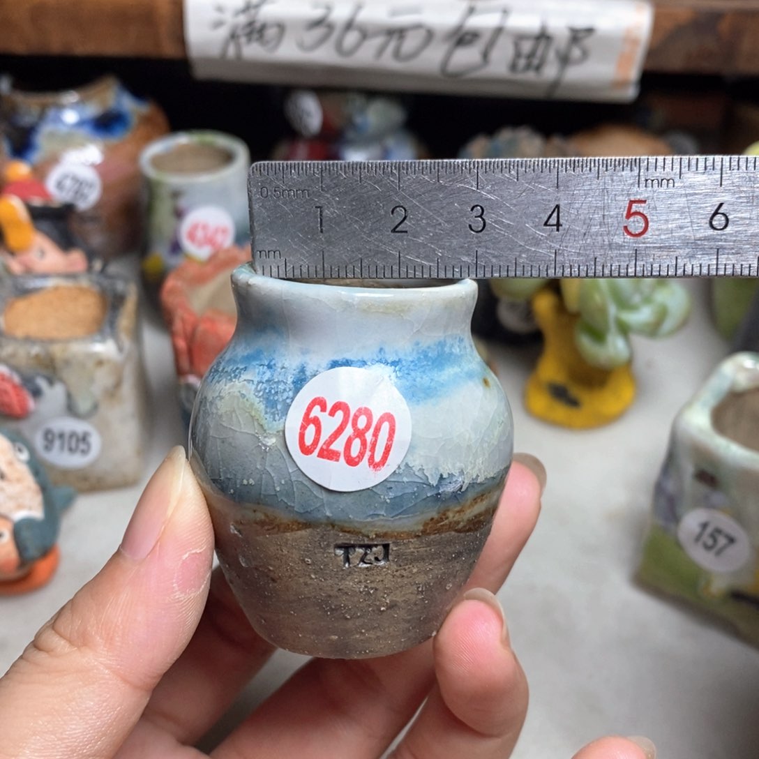 拍5送一个小礼物