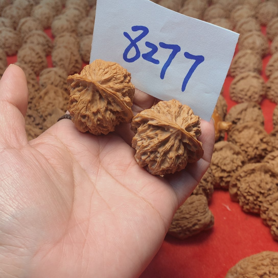 核桃手串/手链张****?苹果园41尺