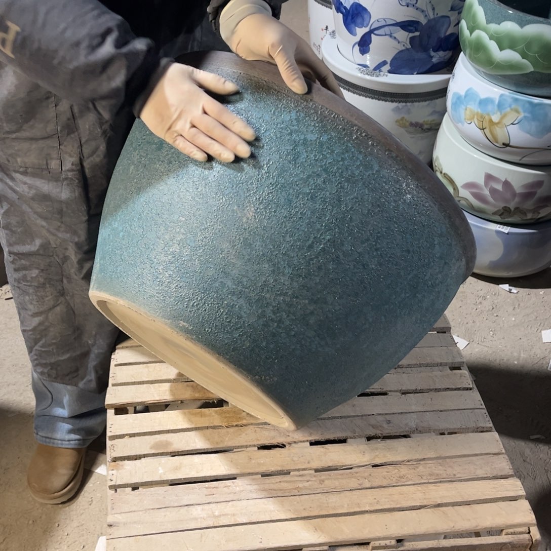 瓷片兰泡52.8888888
