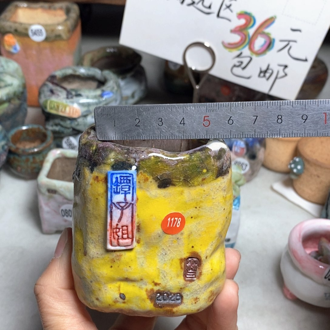 花盆双十二活动不退不换的原98元一个