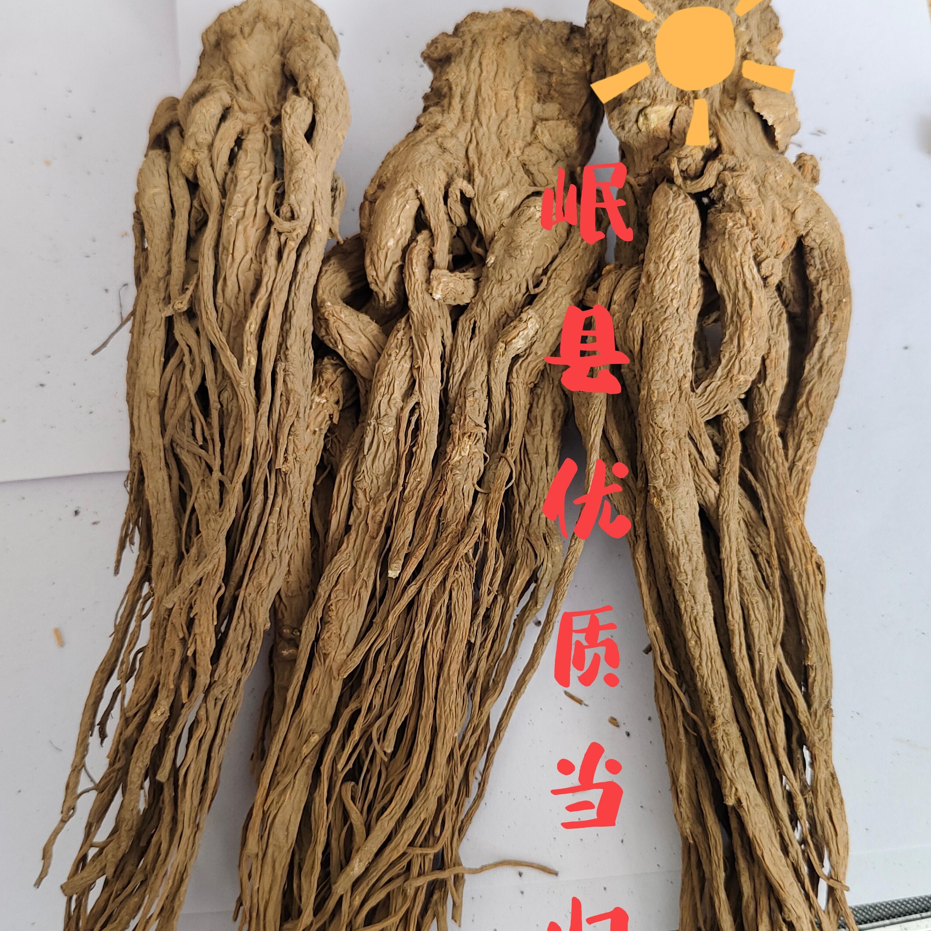 甘肃岷县大条全当归无硫磺熏蒸可泡水炖汤滋补养生