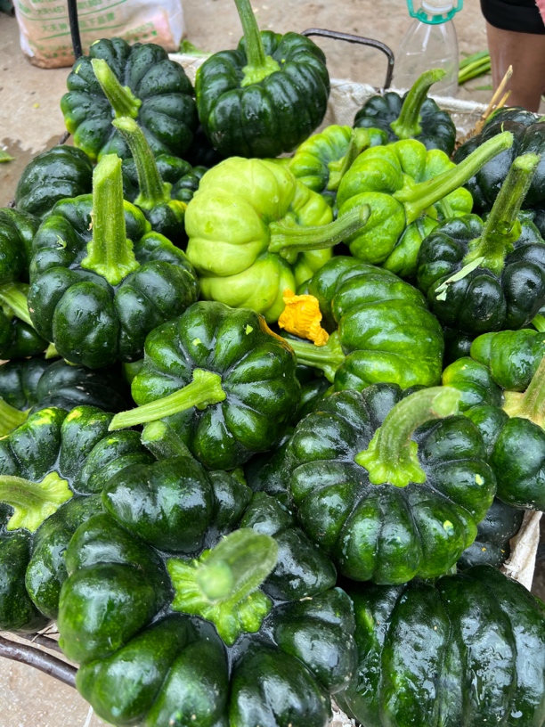 云南丘北农家自种南瓜当季蔬菜