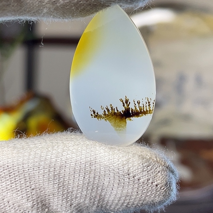 夕阳美景画面风景