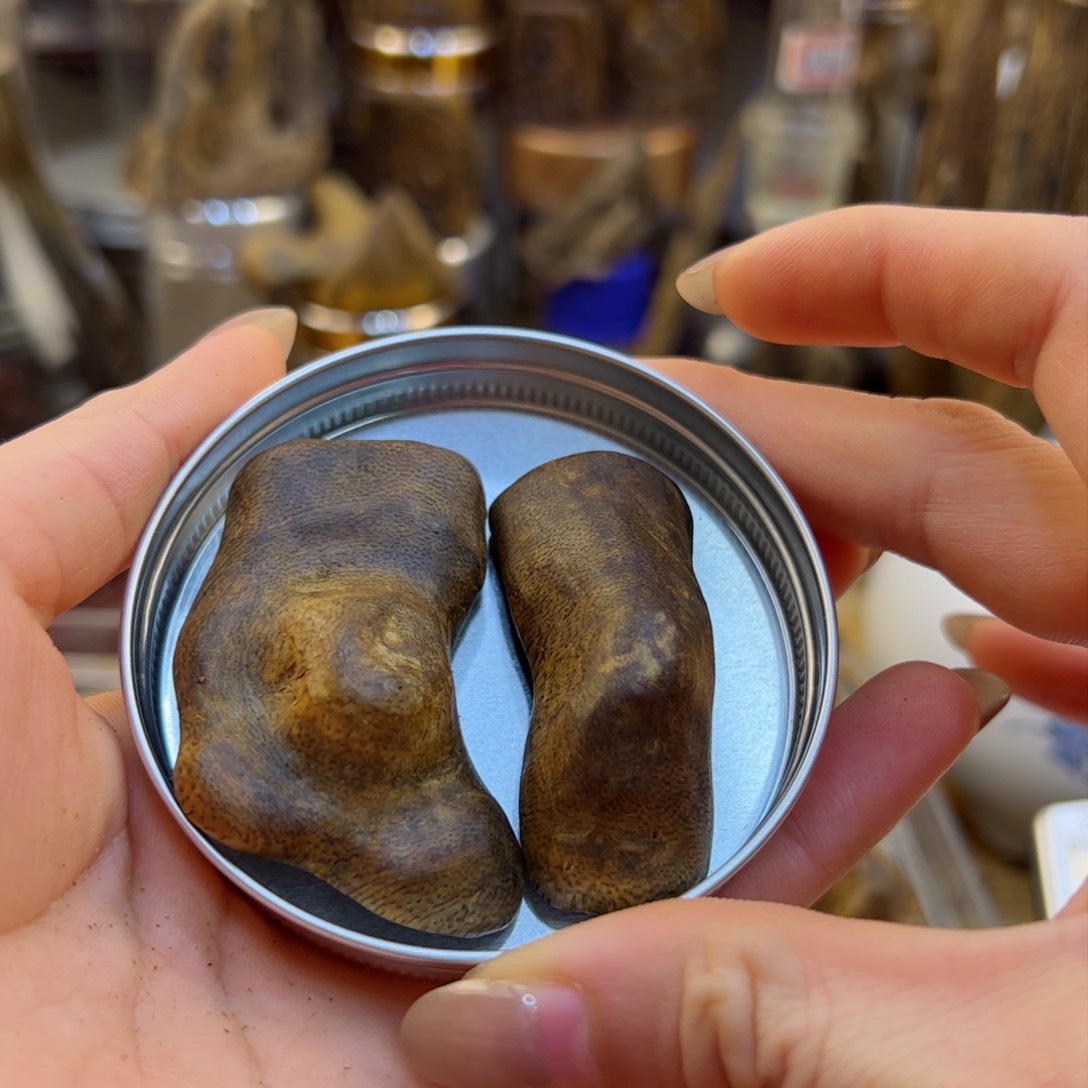 沉香木摆件劳*奇楠沉香乌身壳子料14克