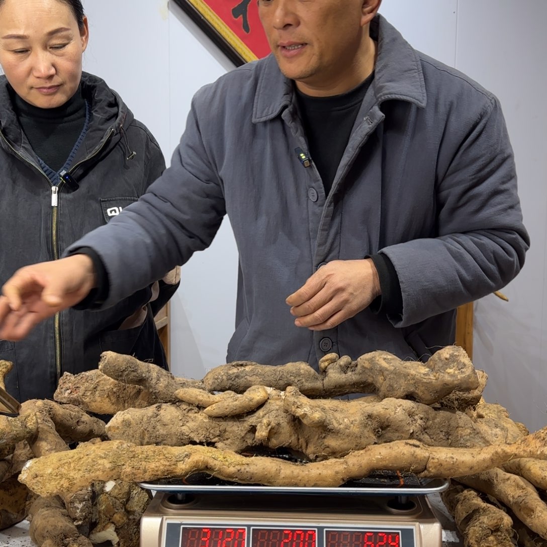 进***宝中国大陆1111111111