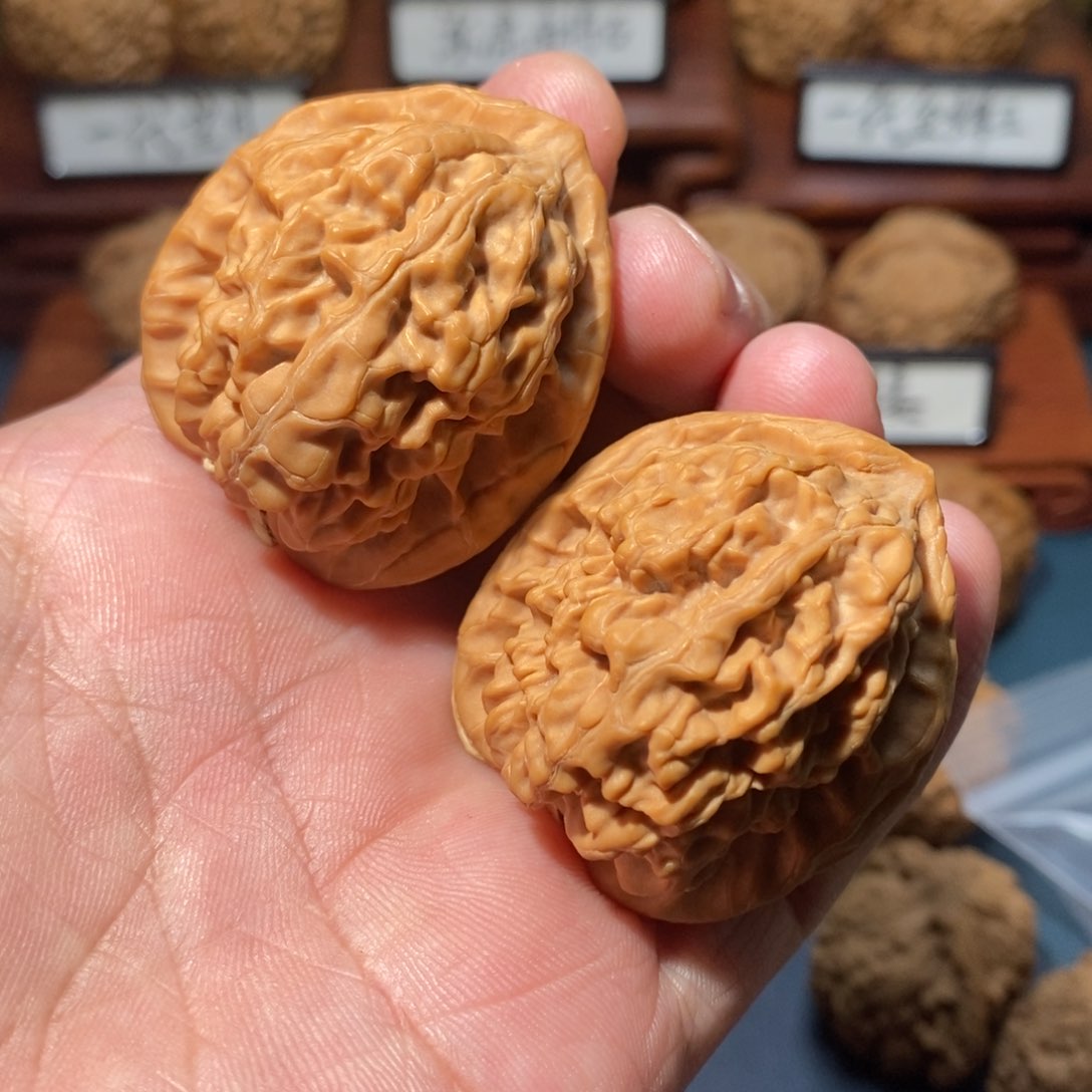 文玩核桃把件原树红莲全品