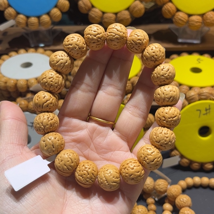 16小加尺寸金丹8号串