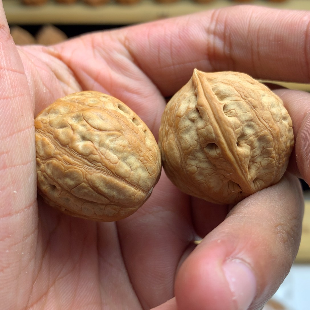 吊坠文玩核桃光头