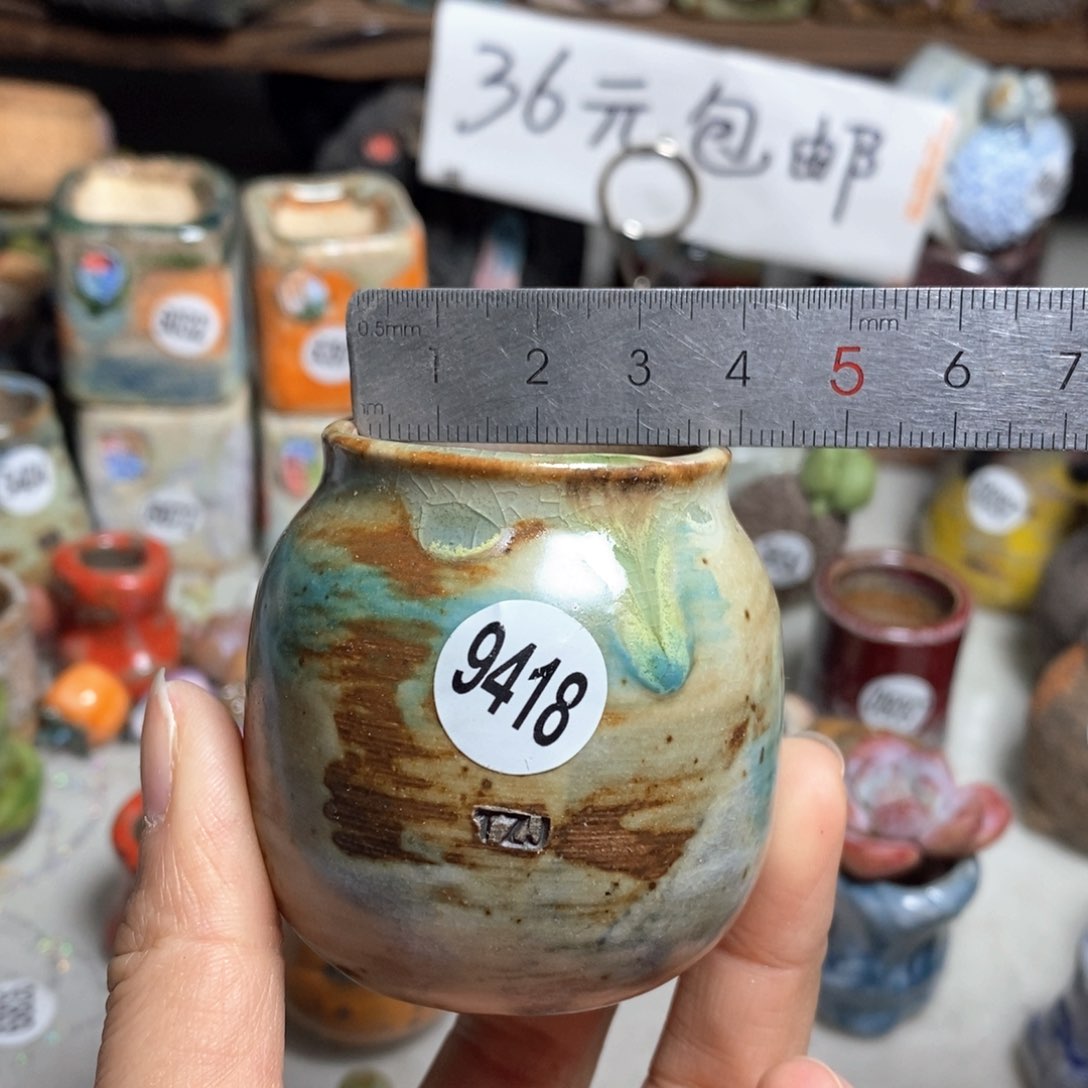 花盆拍5送一个小礼物