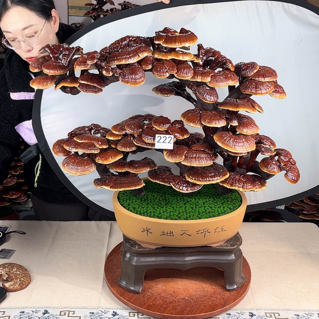 万事如意888888222