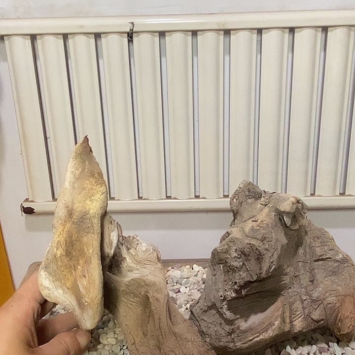 神***手柏木（崖柏）崖柏根雕天然艺术