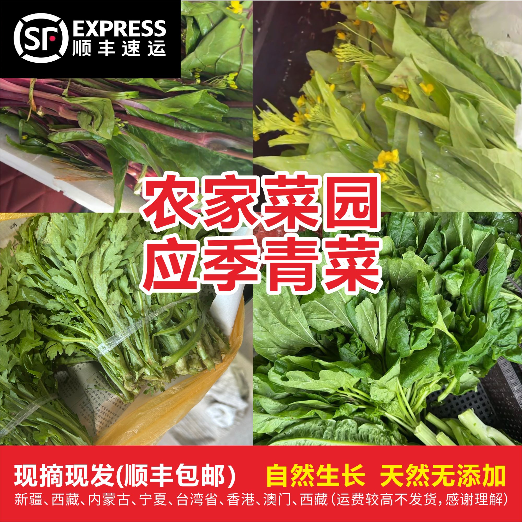 常德本地 农家菜园应季青菜【顺丰包邮】